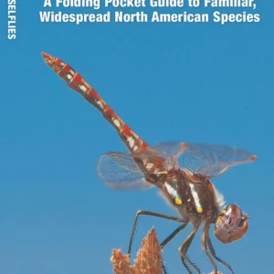 Dragonflies & Damselflies Pocket Guide