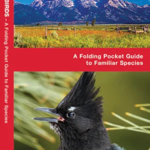 Rocky Mountain Birds Pocket Guide