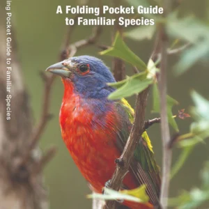 Texas Birds Pocket Guide