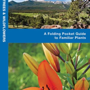 Rocky Mountain Trees & Wildflowers Pocket Guide