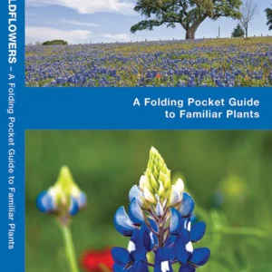 Texas Trees & Wildflowers Pocket Guide