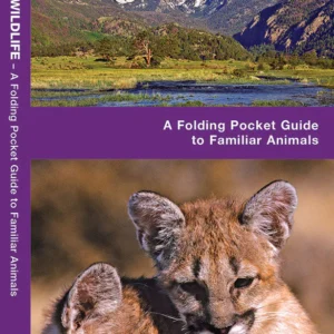 Rocky Mountain Wildlife Pocket Guide