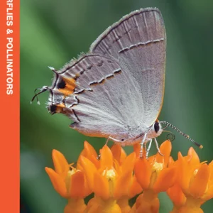 Colorado Butterflies & Pollinators Pocket Guide