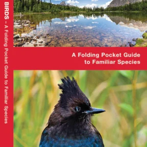British Columbia Birds Pocket Guide
