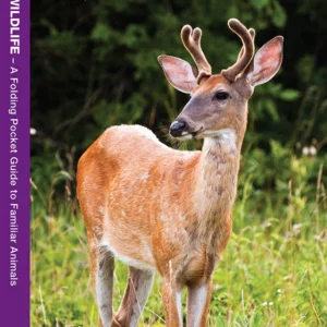 South Carolina Wildlife Pocket Guide