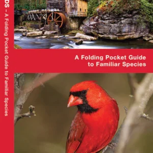 West Virginia Birds Pocket Guide