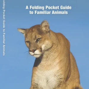 Texas Wildlife Pocket Guide