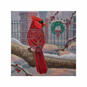 Winter Red - Cardinal - 14" x 14" Gallery Wrapped Canvas