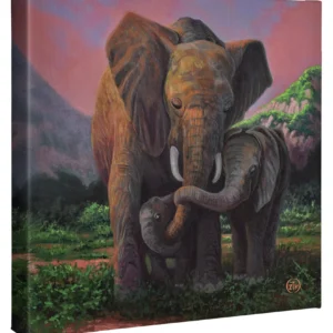 A Mother's Embrace - Elephants - 14" x 14" Gallery Wrapped Canvas