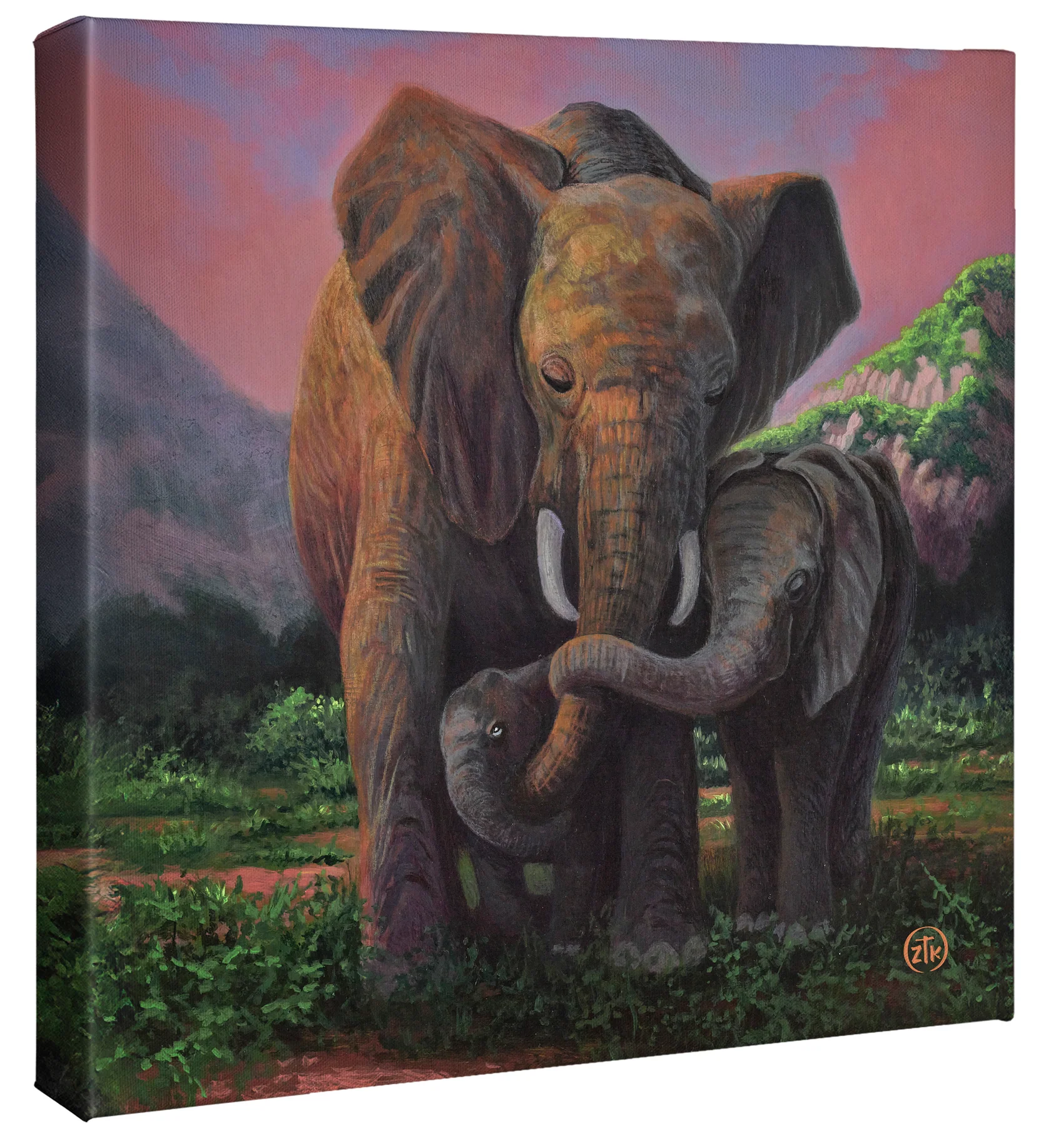 A Mother's Embrace - Elephants