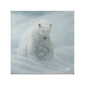 A Mother's Warmth - Polar Bear - 14" x 14" Gallery Wrapped Canvas