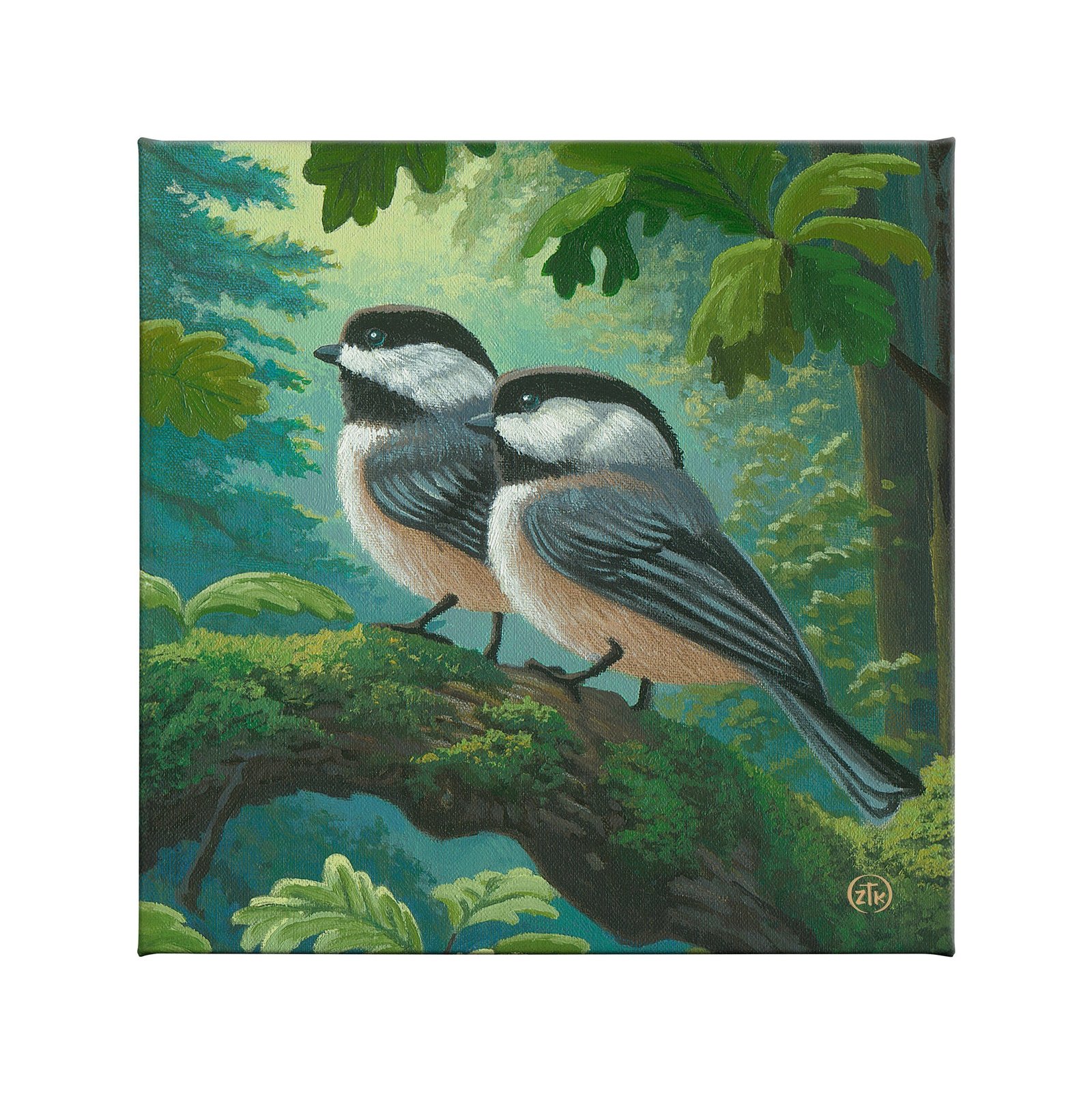 Chickadees in Spring