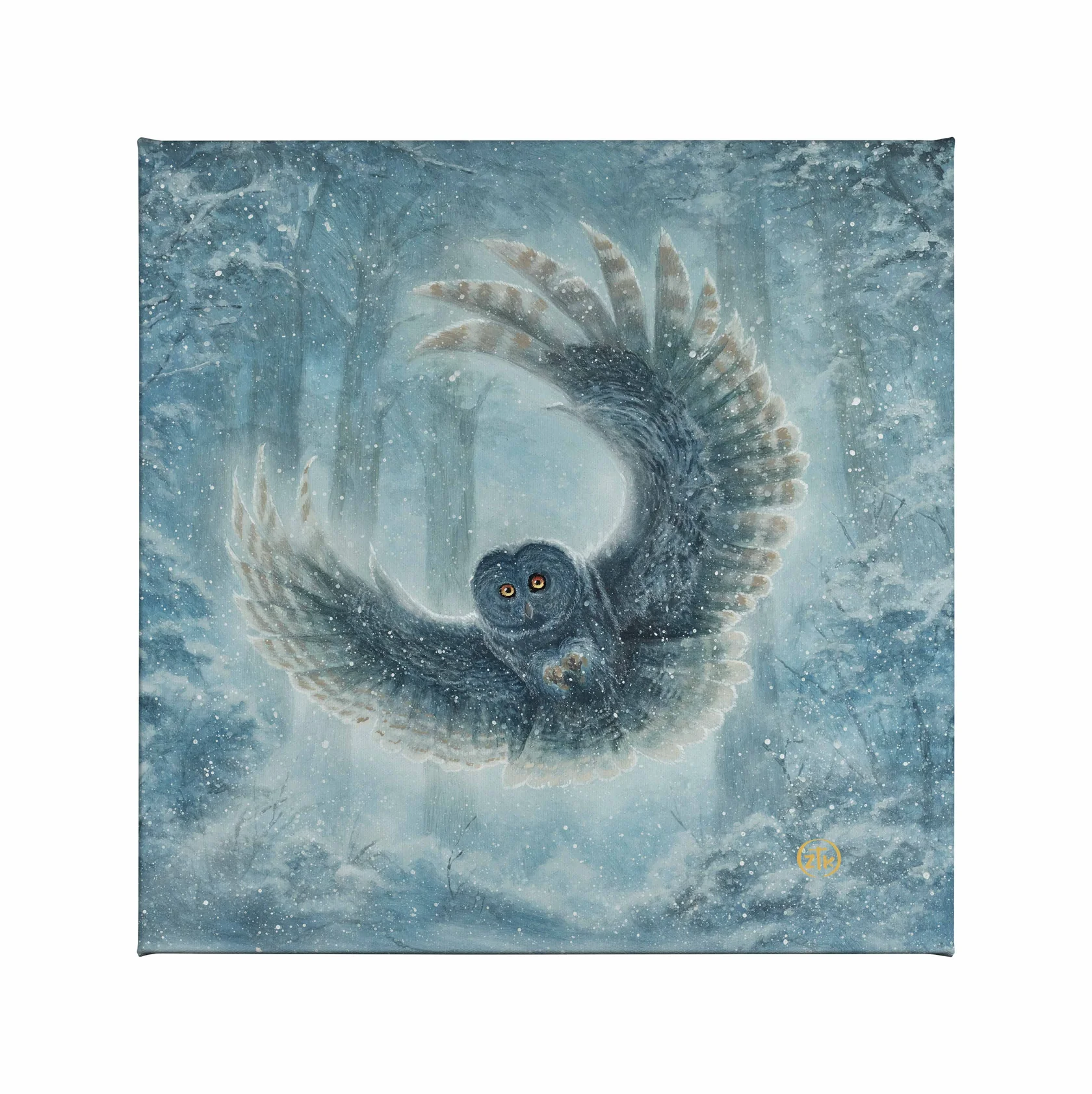 Snowy Owl