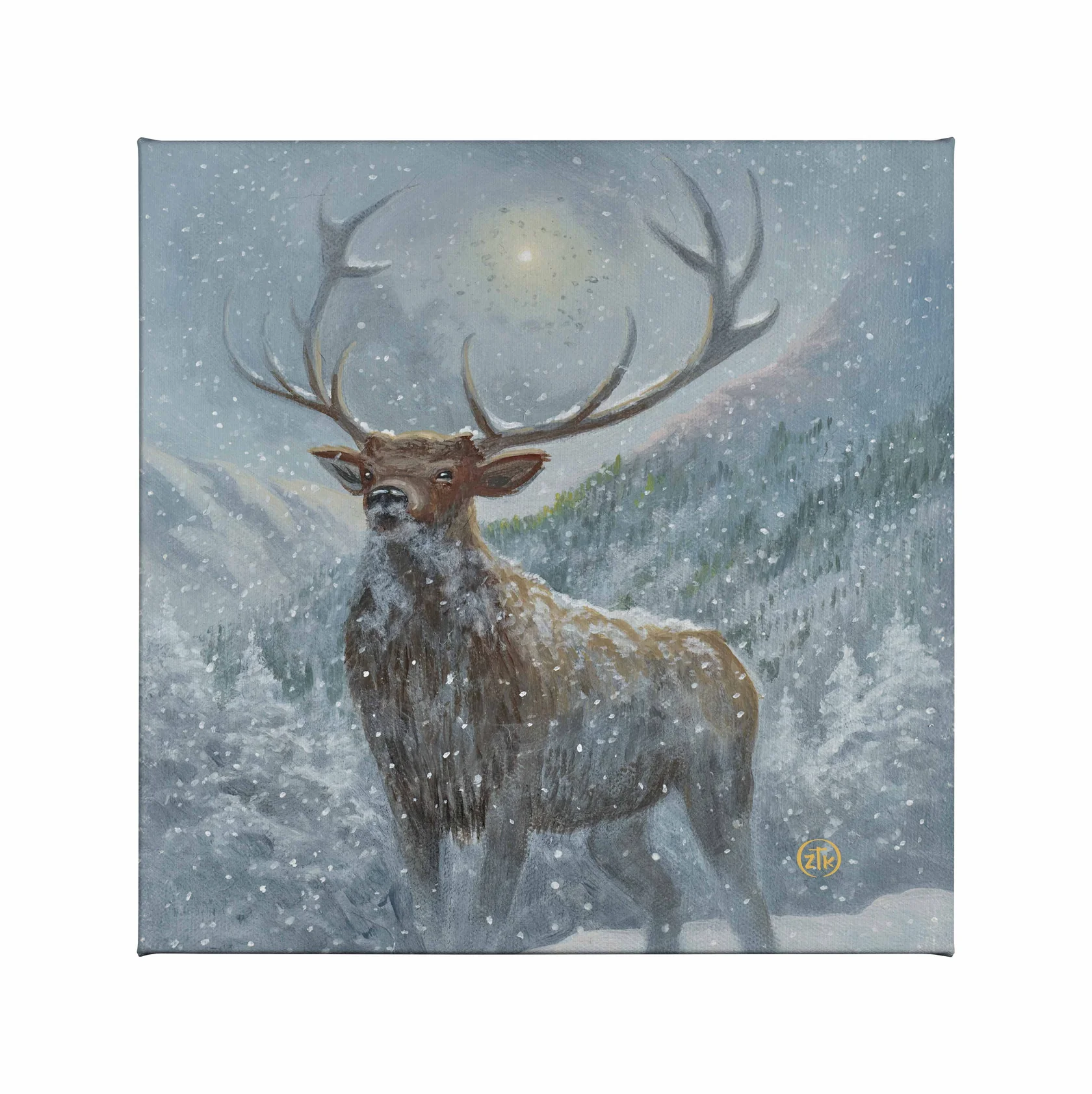Spirit of the North - Elk - 14" x 14" Gallery Wrapped Canvas Spirit of the North - Elk - 14" x 14" Gallery Wrapped Canvas